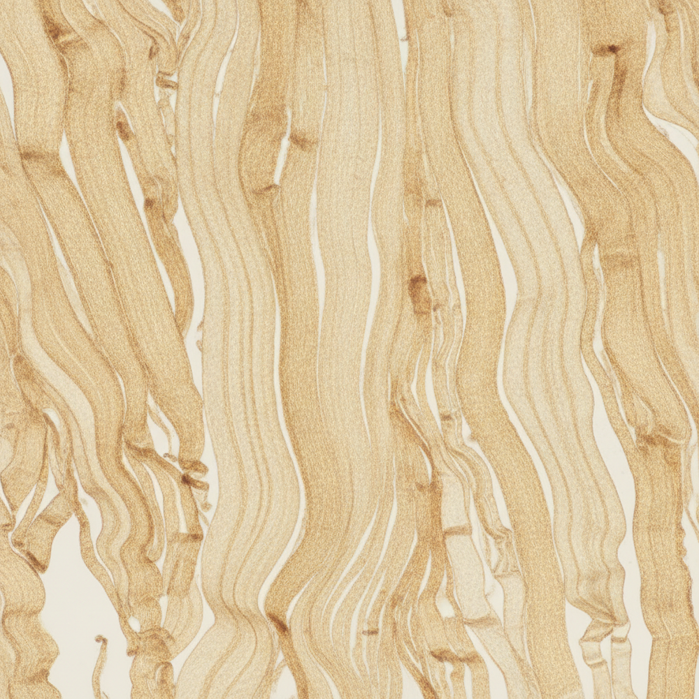 The science of collagen